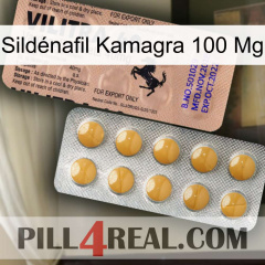 Sildénafil Kamagra 100 Mg 41